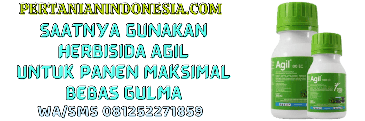 jual,murah,terjangkau,toko pertanian terdekat,pertanian indonesia